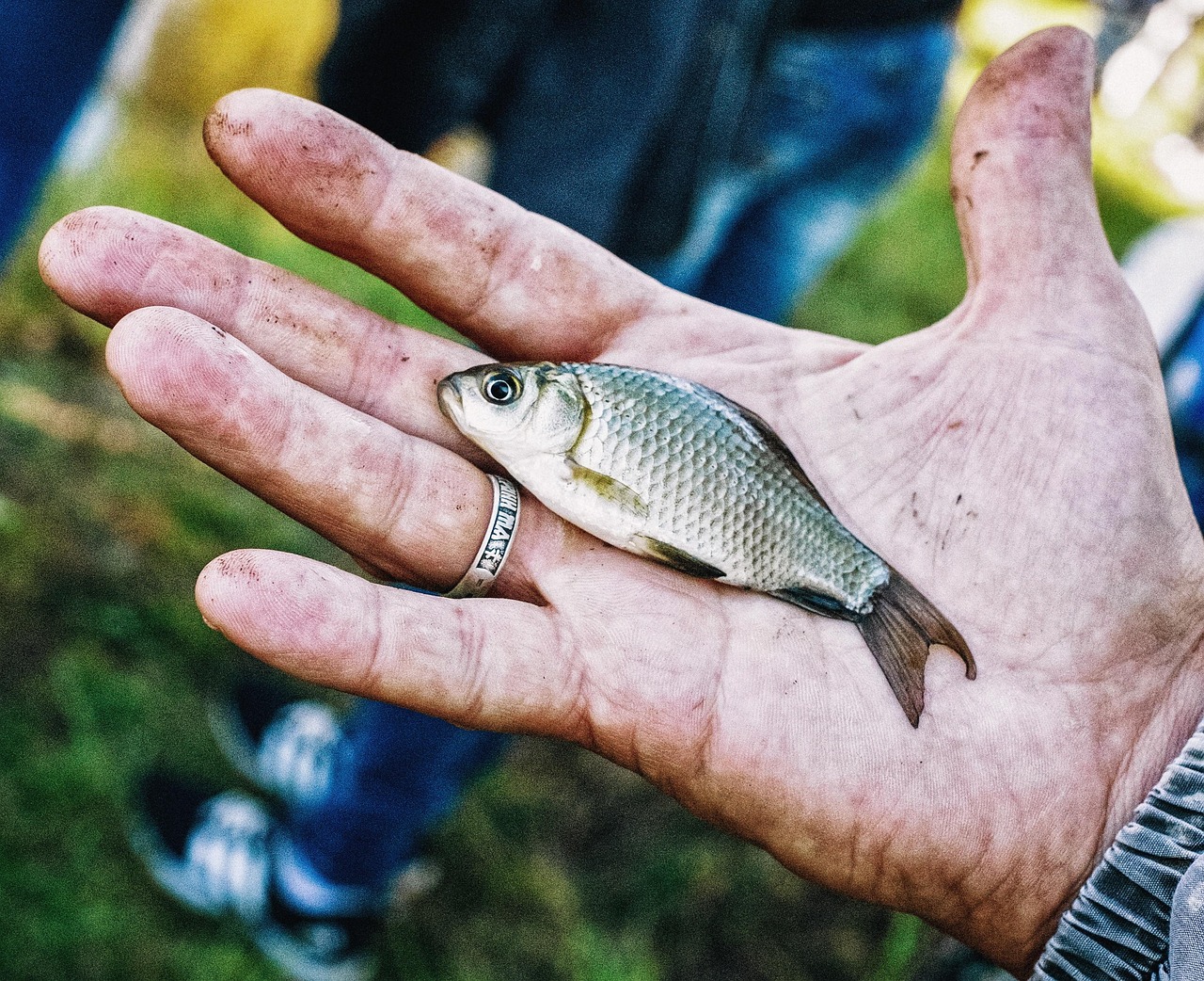 Catching fish