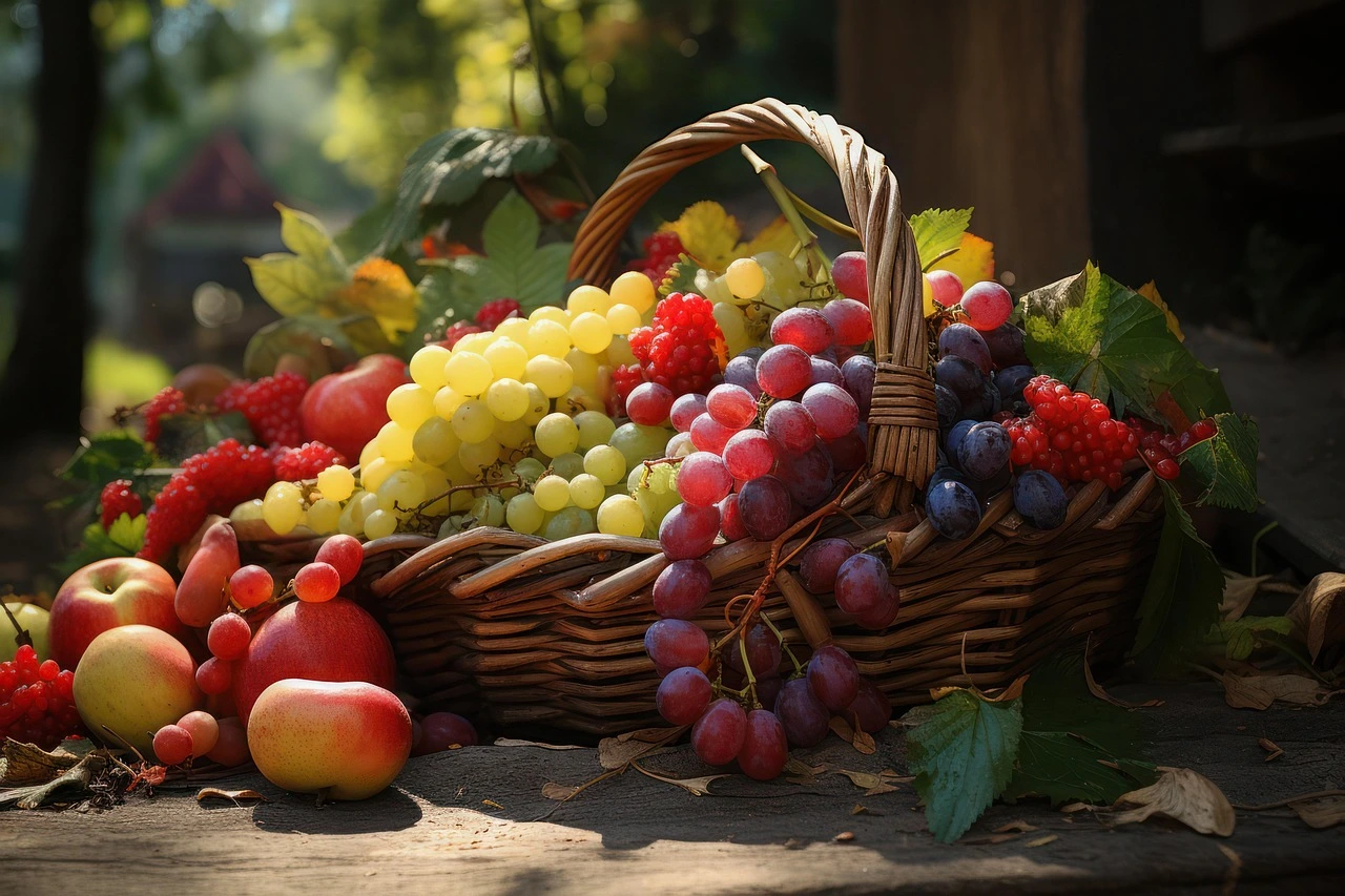 basket full of fruit under tree